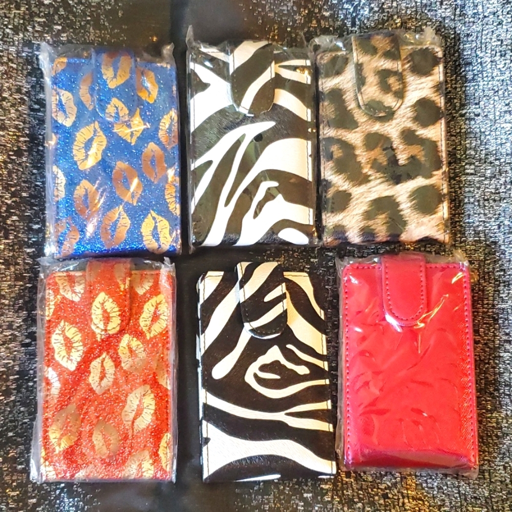 (6) Lip stick or make up small case